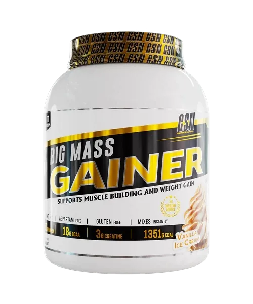 BIG MASS GAINER 1KG